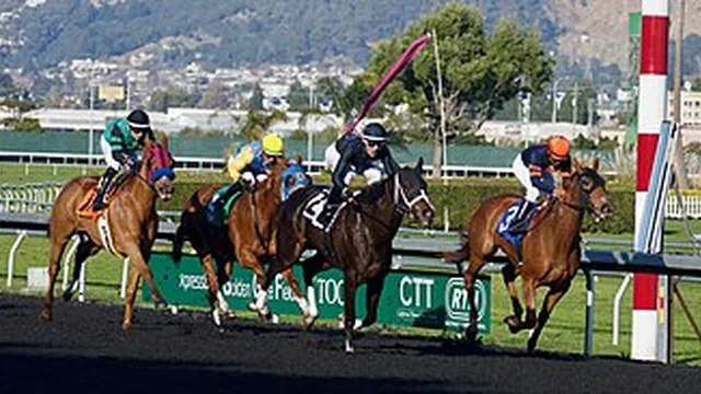 Play Horse Racing Betting at crown88sgbest.com